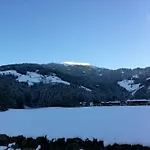 Wiesennest 公寓 菲根贝格